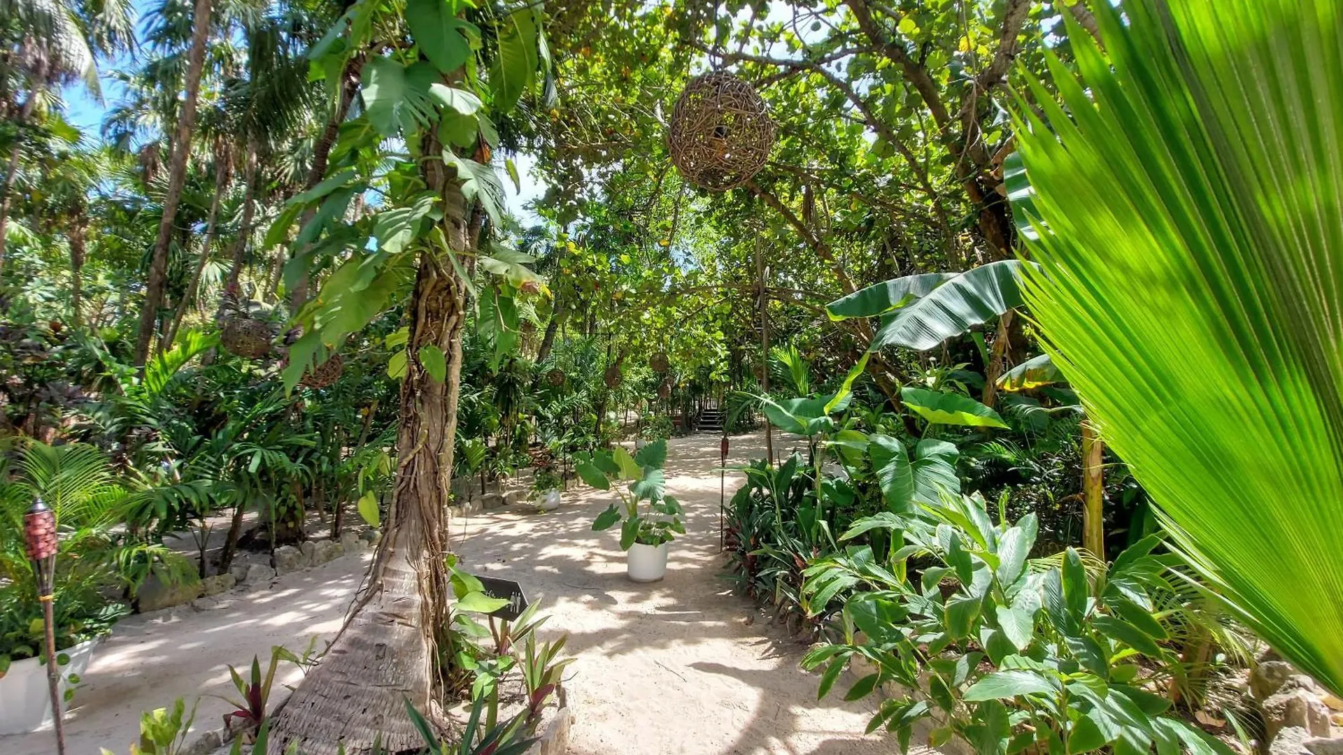 Apartment Hermoso Penthouse En Aldea Zama 3Bedromm Tulum